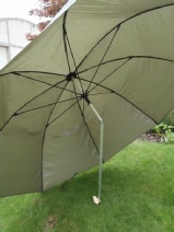 parasol 3.jpg